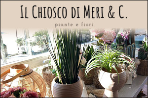 Fiori e Piante