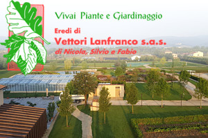 Fiori e Piante